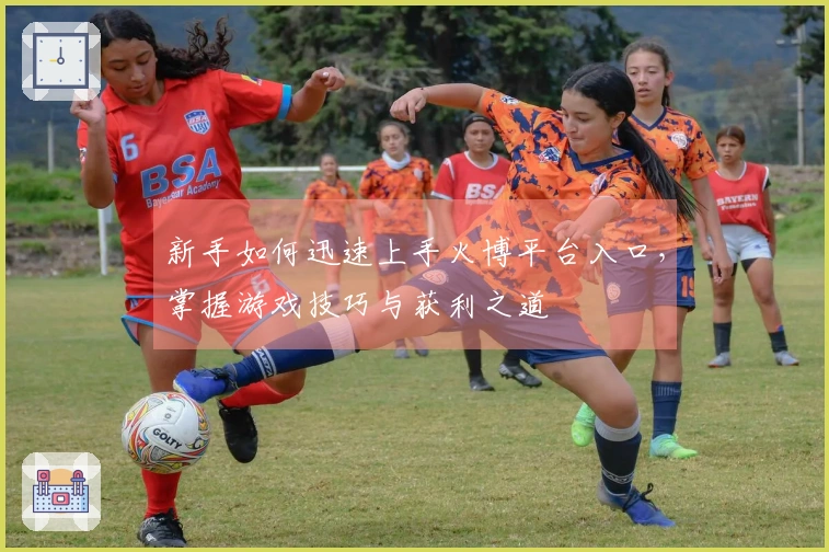 新手如何迅速上手火博平台入口，掌握游戏技巧与获利之道