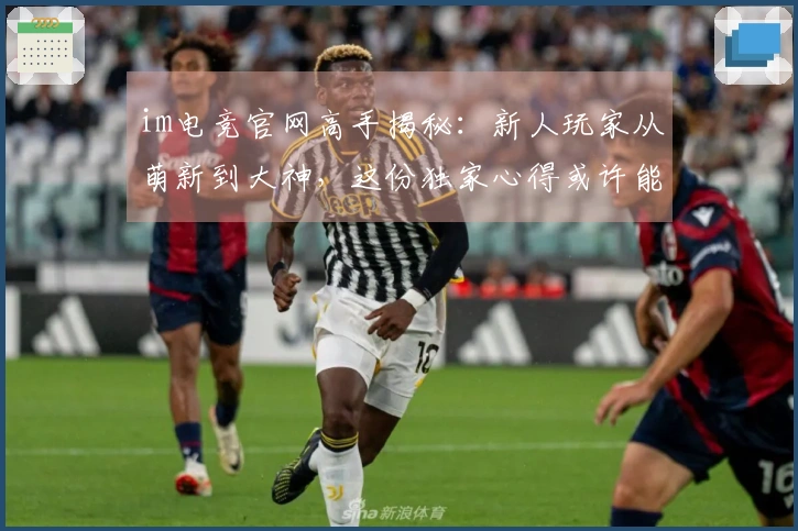 im电竞官网高手揭秘：新人玩家从萌新到大神，这份独家心得或许能让你少走弯路！