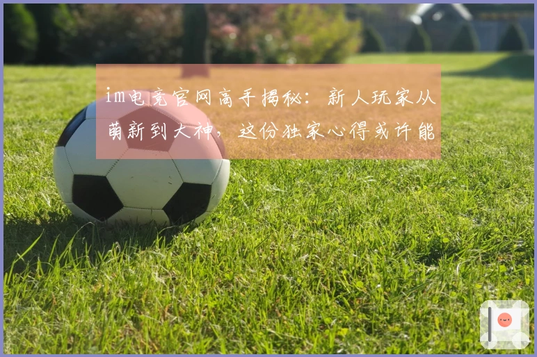 im电竞官网高手揭秘：新人玩家从萌新到大神，这份独家心得或许能让你少走弯路！