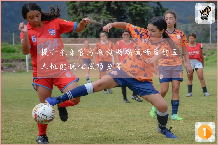 提升米乐官方网站游戏流畅度的五大性能优化技巧分享